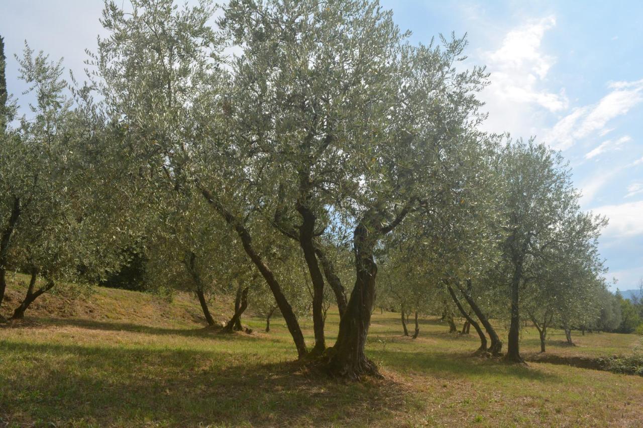 Podere Delle Fanciulle Pistoia Exterior photo